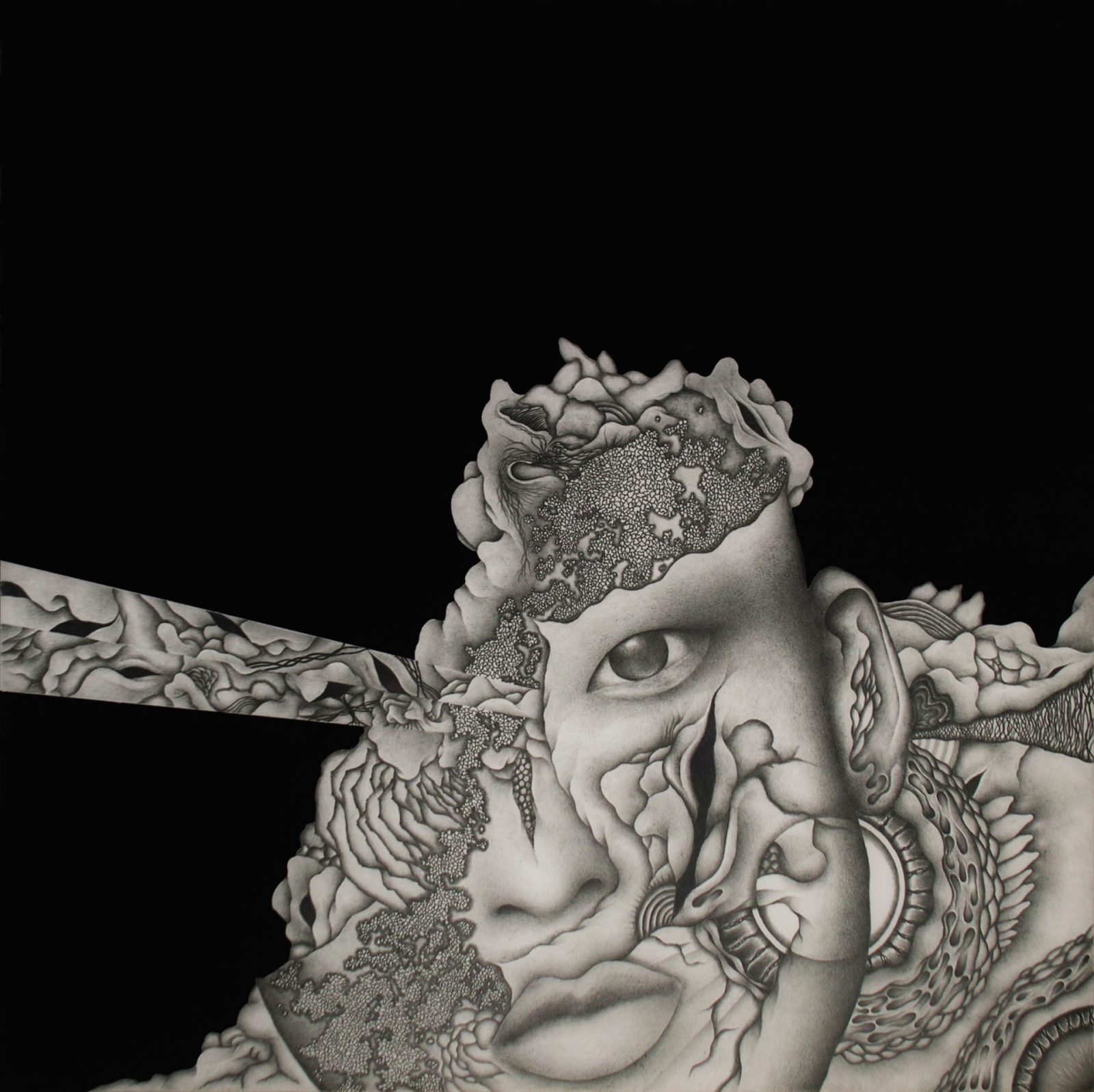 《DECOMPOSITION PEEK》2016年