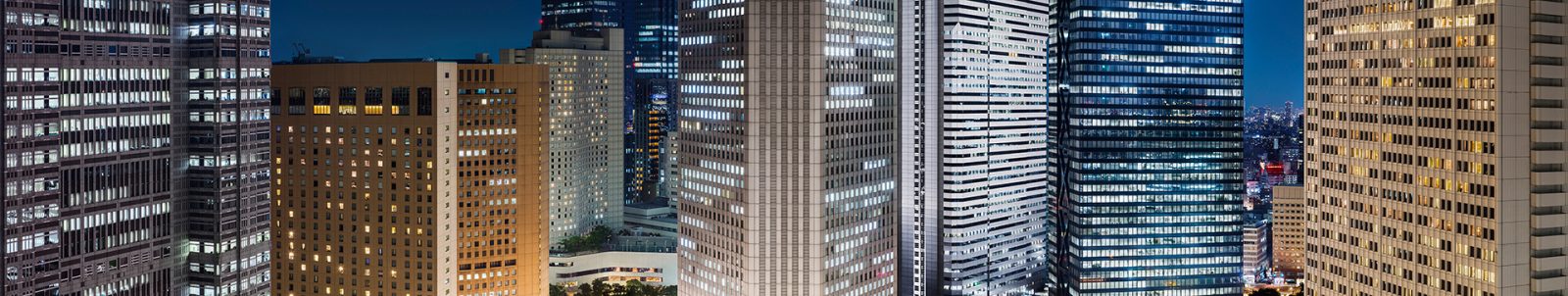 《Land of Technology:Tocho Mae, Nishi Shinjuku, Tokyo 都庁前 西新宿 東京》2014年 《Land of Technology:Tocho Mae, Nishi Shinjuku, Tokyo 都庁前 西新宿 東京》2014年