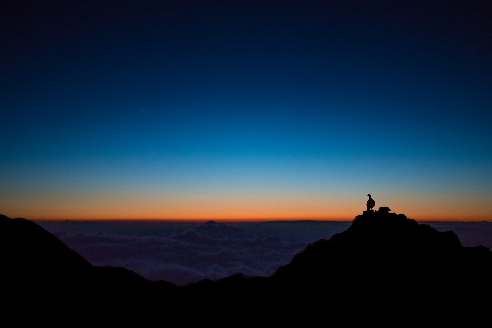 《お父さん、出勤す。Ⅱ》2017年