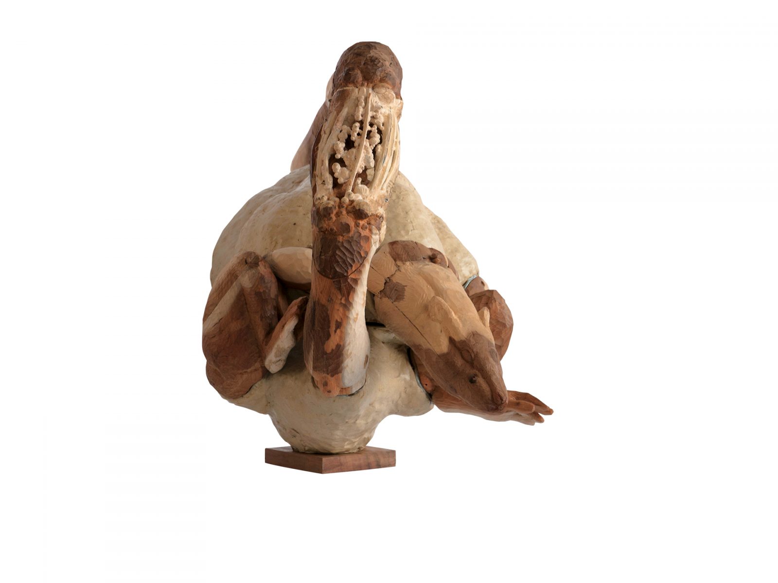 《空に溶け込む動物4》2017年 《空に溶け込む動物4》2017年