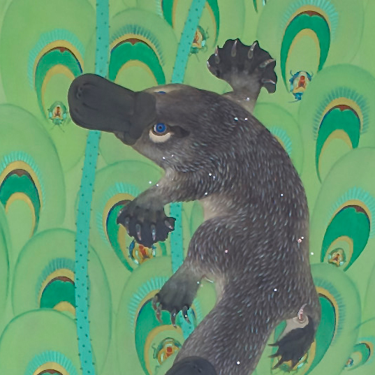 《かものはす－急上昇》2014−15年