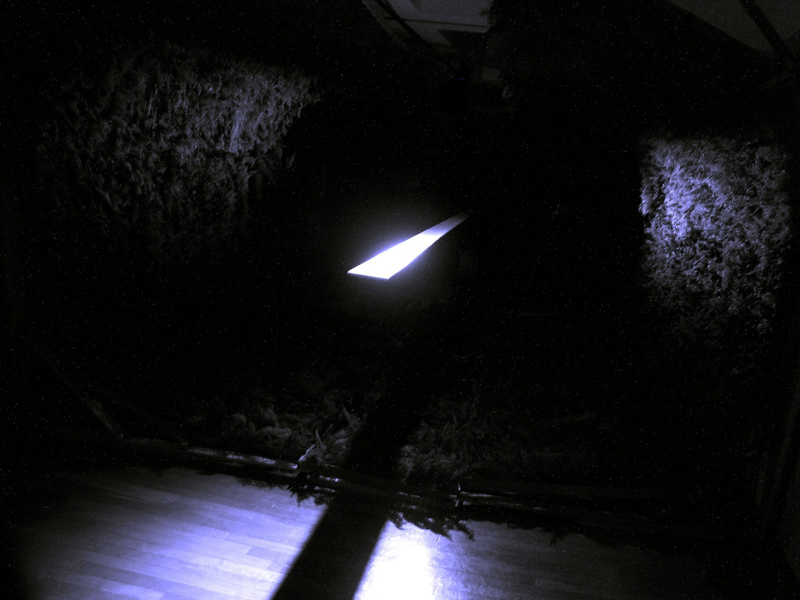 《Hilbert》2008年