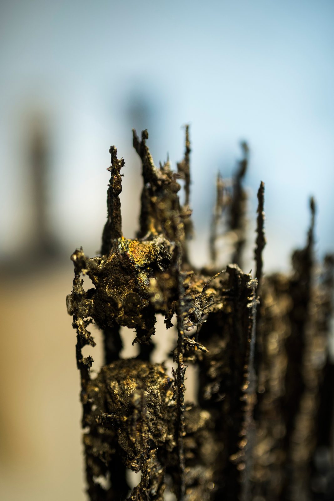 《票(部分)》2017年 《票(部分)》2017年