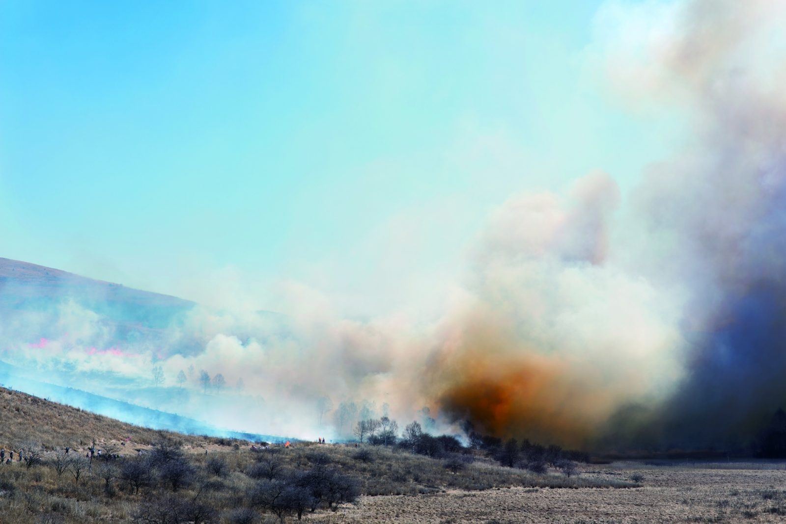 《霧のあと》2013年 《霧のあと》2013年